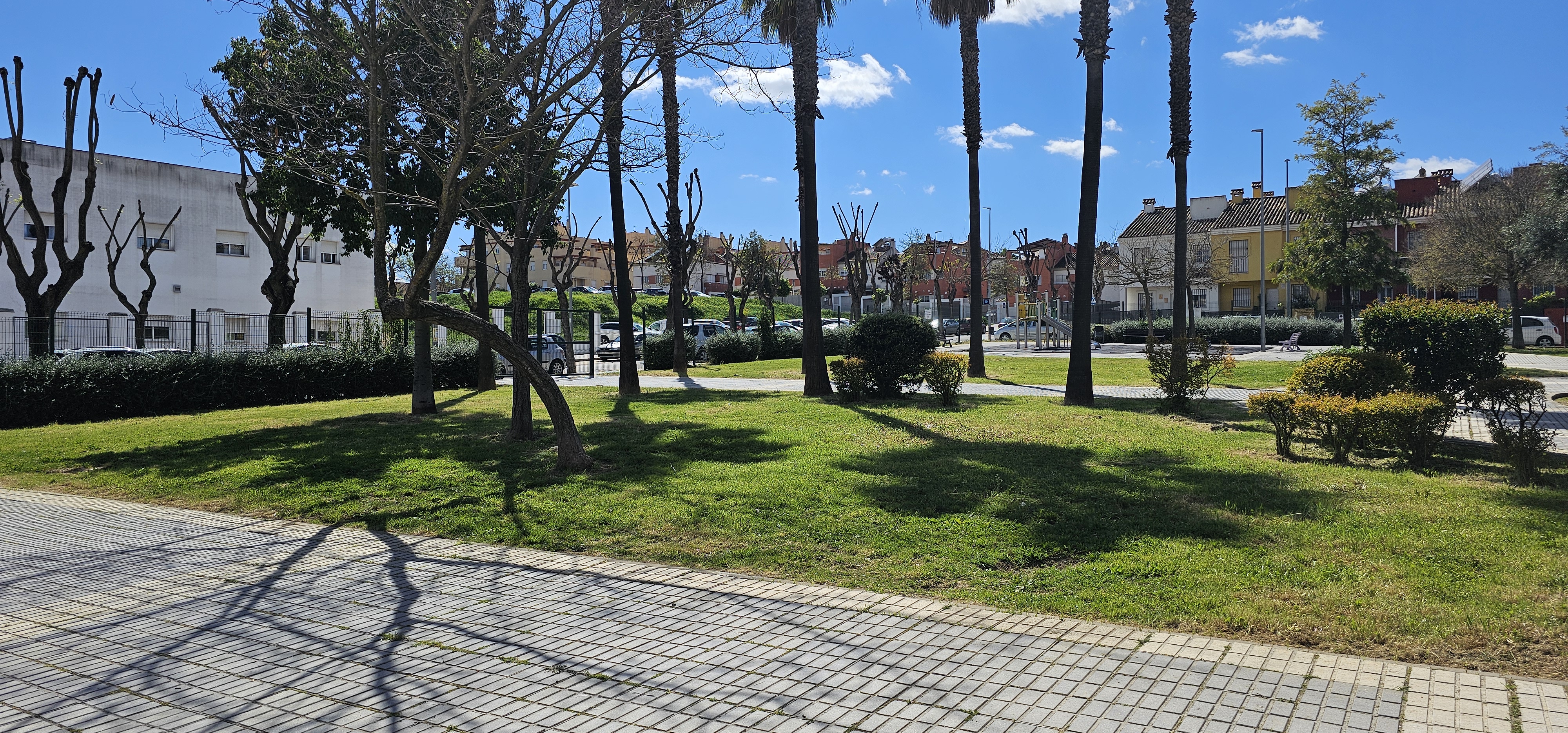 Propuesta en Calle Mariana Pineda 3